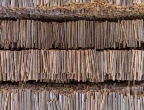 Ikea, le seigneur des forêts (Arte)